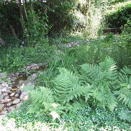 B&B 'T Nije Huus Schoonoord Екстериор снимка